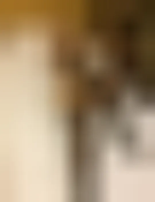 Ariane, 30 Jahre — sextreffen in Jüchen