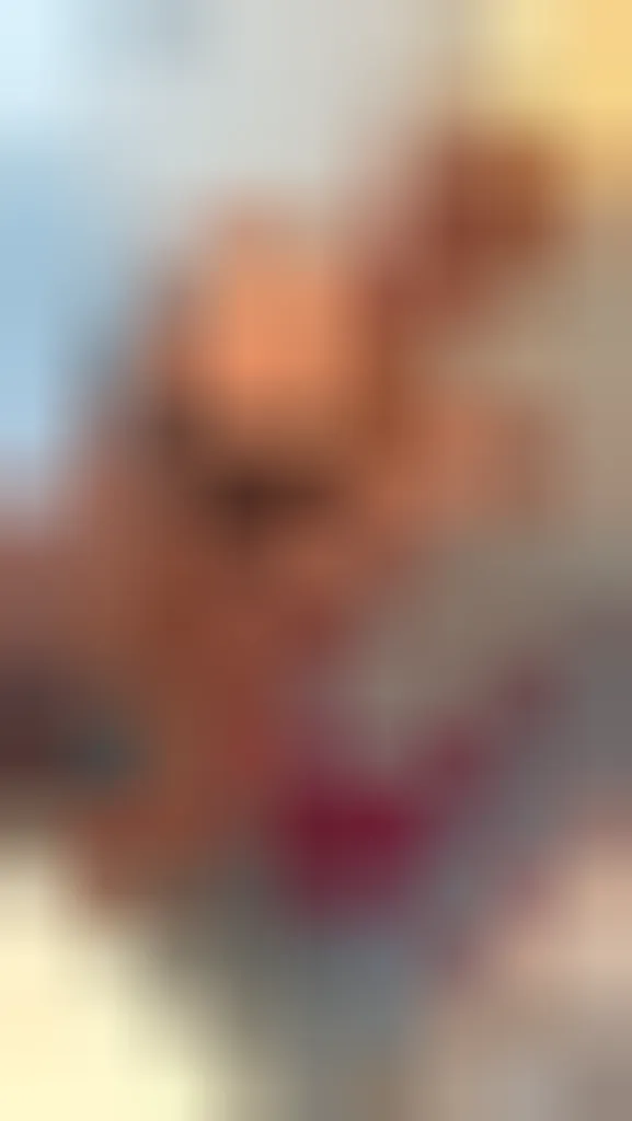 Christina, 25 Jahre — sextreffen in Frechen