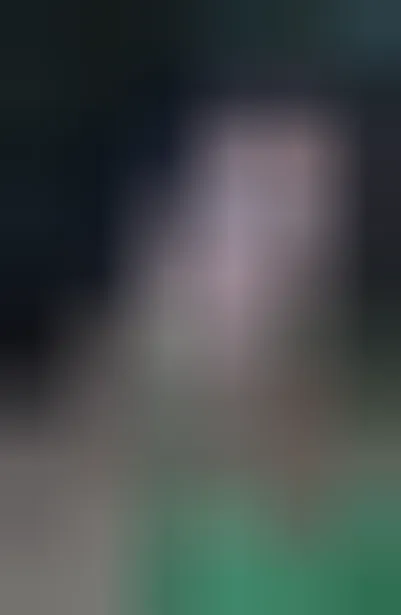 Edith, 35 Jahre — sextreffen in Mannheim