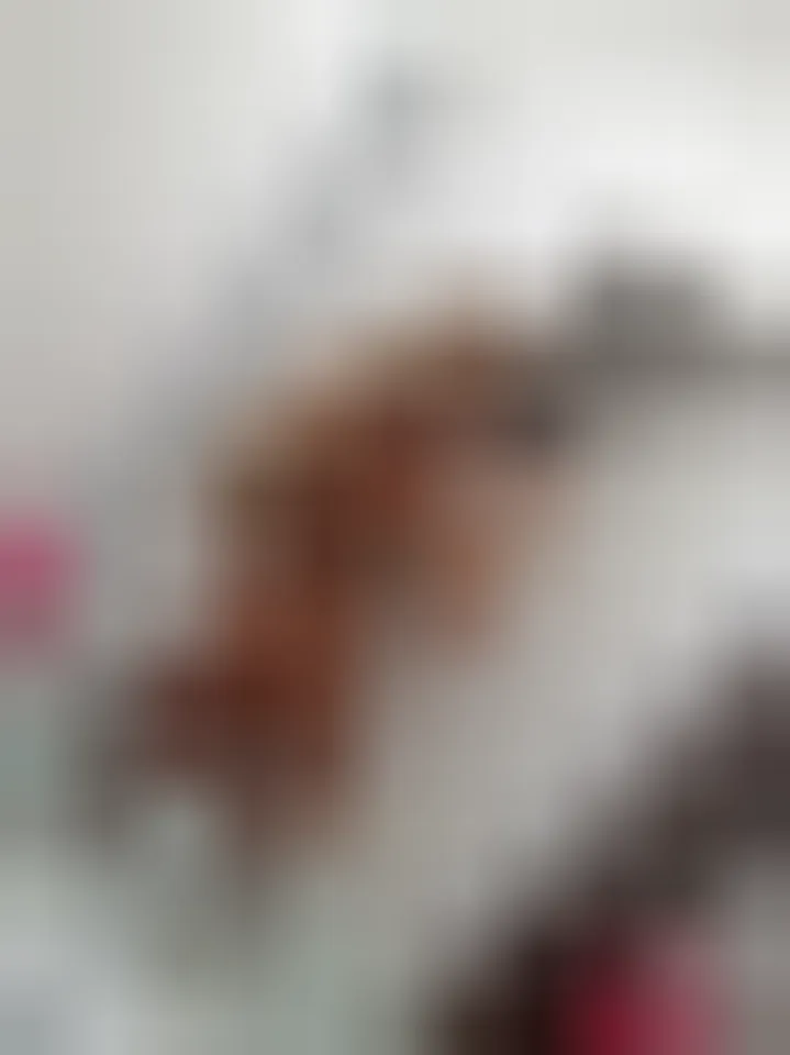 Clara, 24 Jahre — sextreffen in Königs Wusterhausen