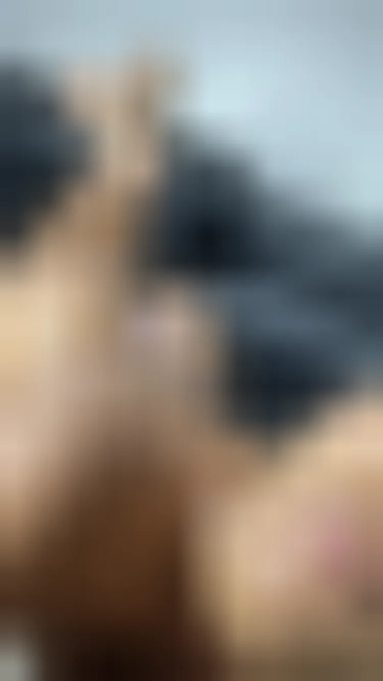 Nora, 28 Jahre — sextreffen in Hamburg-Nord