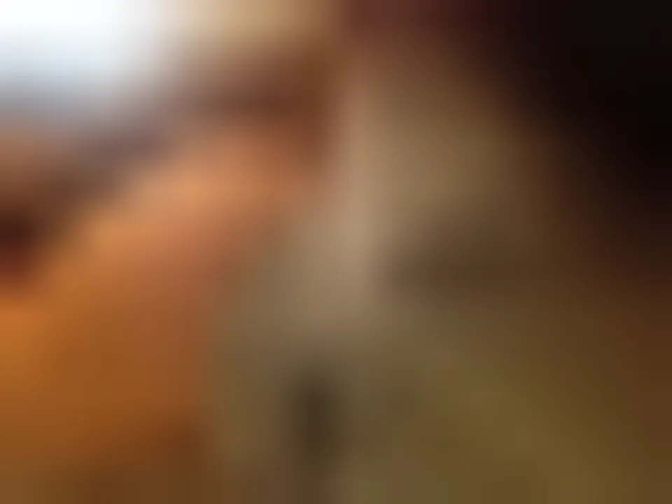 Anna, 23 Jahre — sextreffen in Tübingen